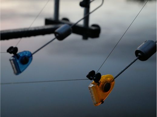 La pêche de la carpe en étang.