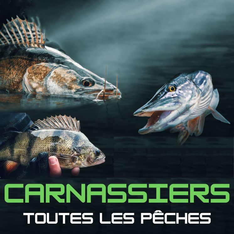 Carnassiers